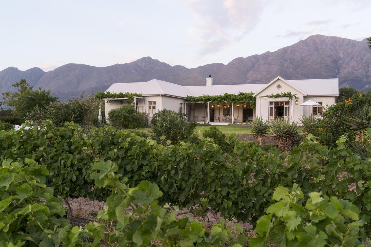 Cape Vue Country House Hotell Franschhoek Exteriör bild