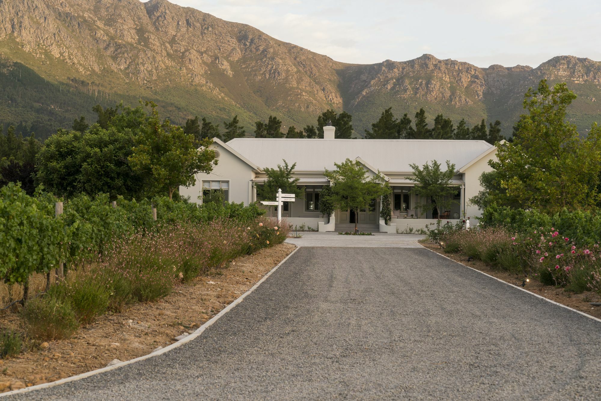 Cape Vue Country House Hotell Franschhoek Exteriör bild